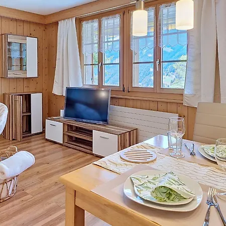 Steinnaegeli By Interhome Apartmán